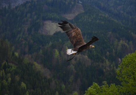 Wyprawa po MOC! – cz.1 - Podróż Bohaterki